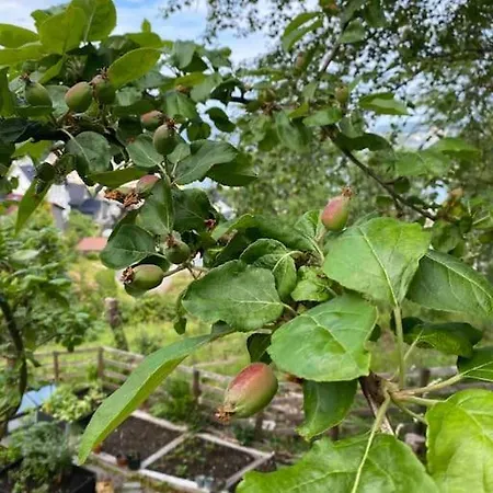 Villa Spacious With View - 5br - Free Parking - Great Wi-fi