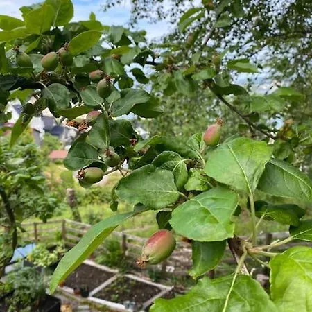 Villa Spacious With View - 5br - Free Parking - Great Wi-fi